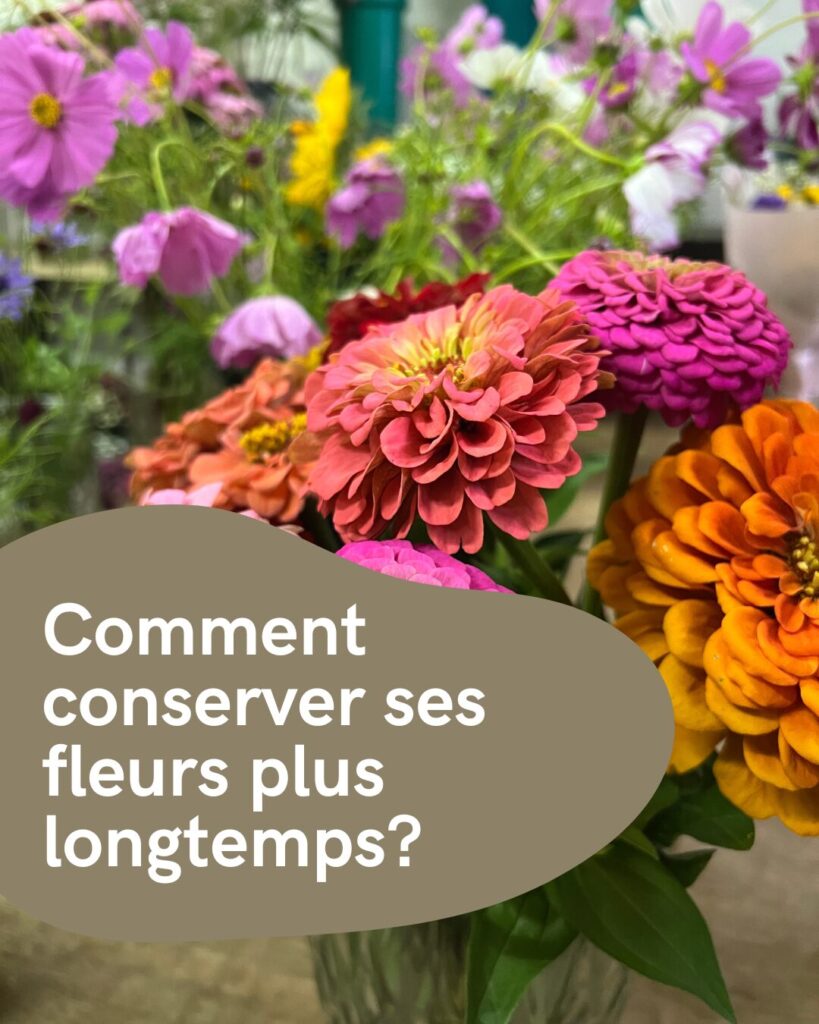 Comment conserver ses fleurs plus longtemps ? - Fleuriste Abaca