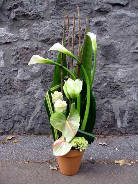 Composition de fleurs Souffle blanc - Fleuriste Abaca