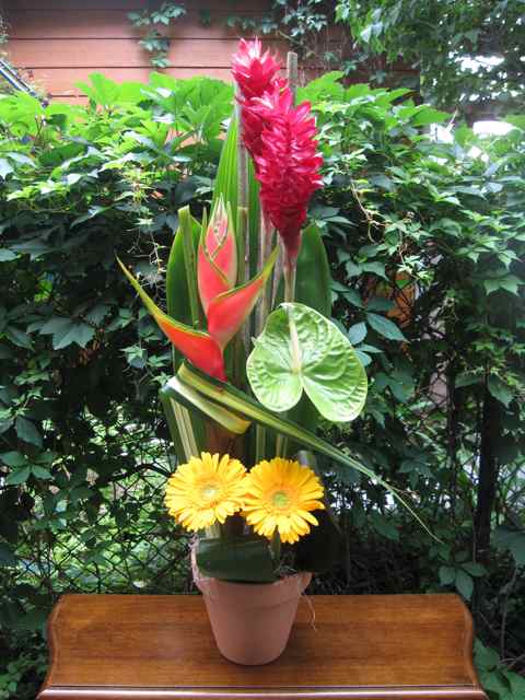 Montage de fleurs Éclat - Fleuriste Abaca