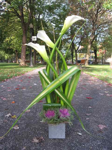 Composition de fleurs Lignes croisées - Fleuriste Abaca