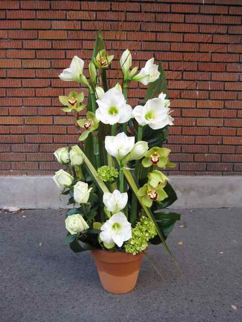 Amaryllis et cymbidium - Fleuriste Abaca
