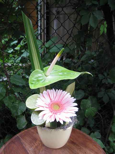 Fleurs pour table Anthurium - Fleuriste Abaca