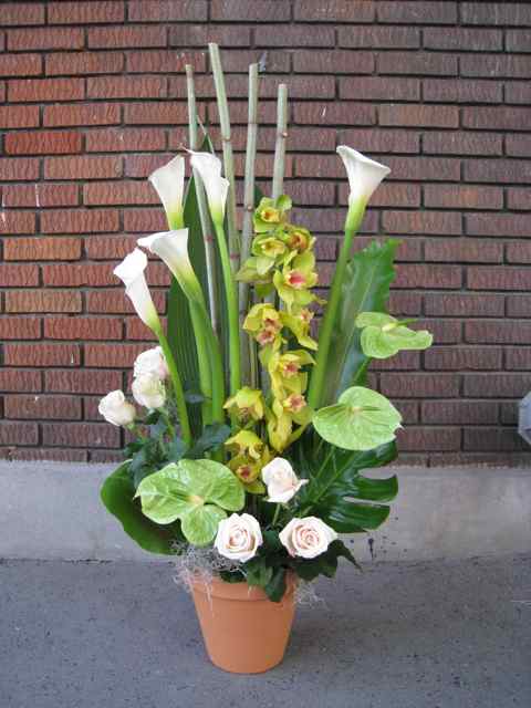 Cymbidium et anthurium - Fleuriste Abaca