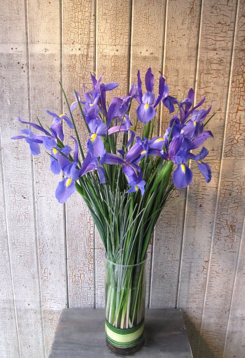 Iris - Fleuriste Abaca