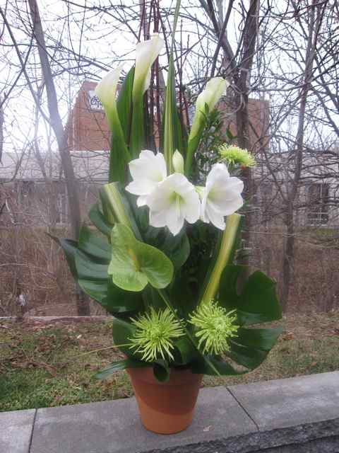 Callas et amaryllis - Fleuriste Abaca