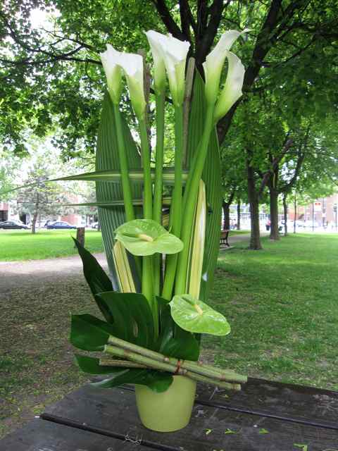 Callas et anthuriums - Fleuriste Abaca