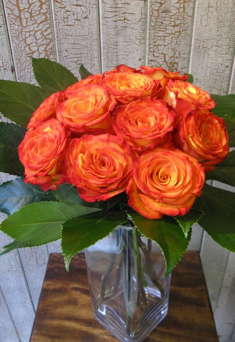 Roses Circus - Fleuriste Abaca