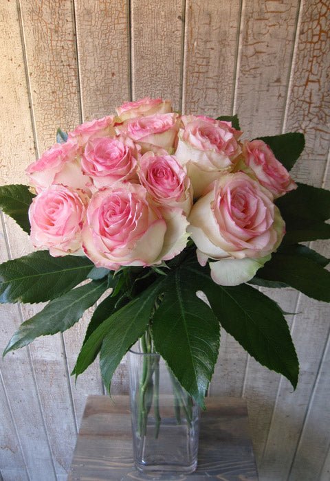 Roses Esperance - Fleuriste Abaca