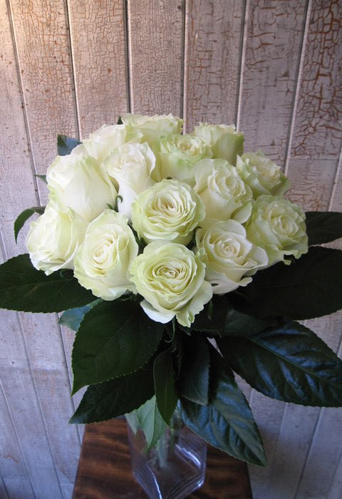 Roses blanches - Fleuriste Abaca