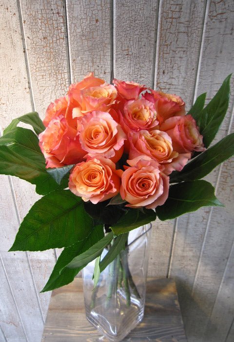 Roses Free Spirit - Fleuriste Abaca