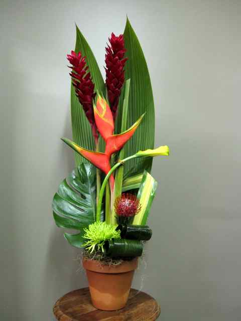 Montage de fleurs Contemporain - Fleuriste Abaca