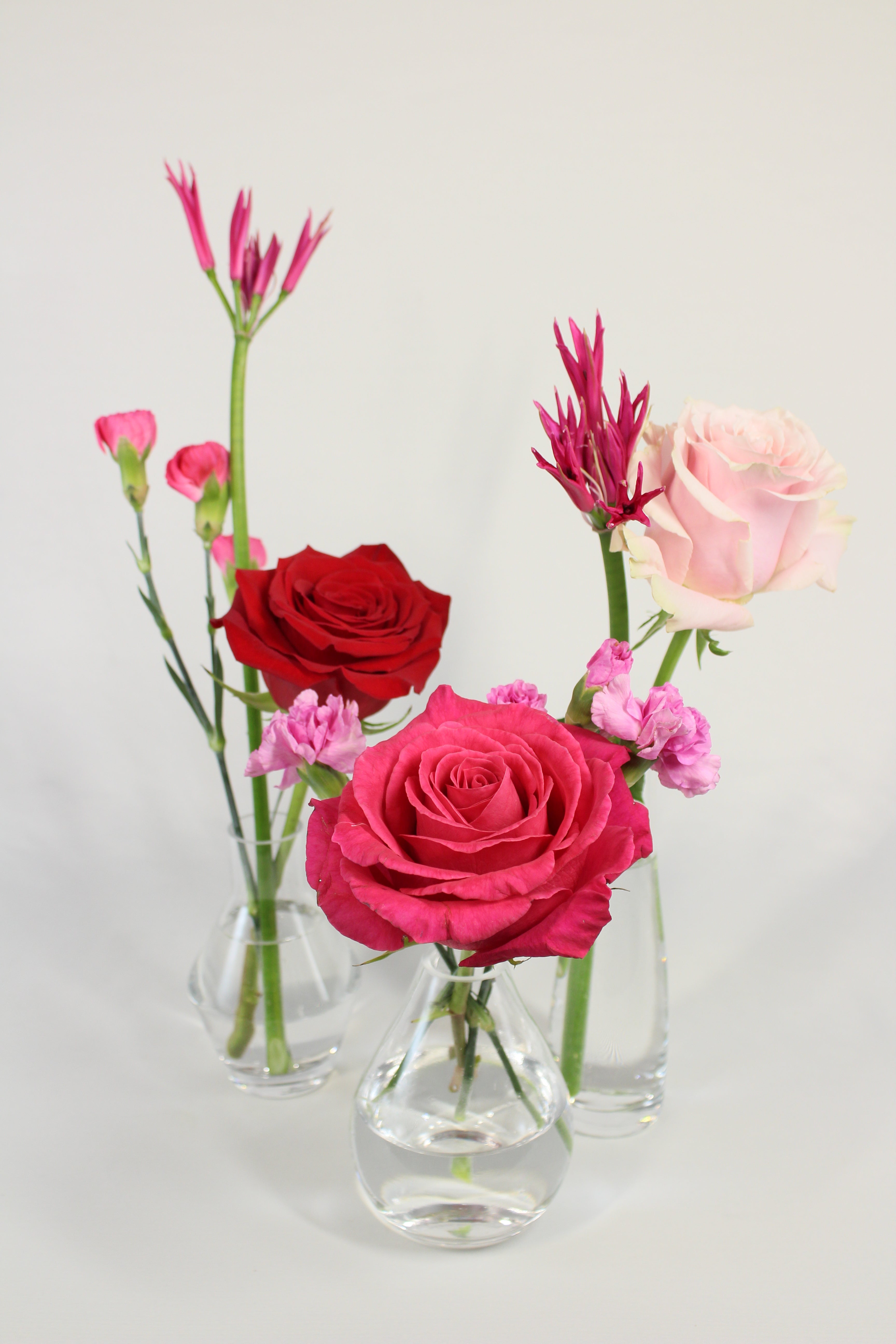 Trio de soliflores pour la Saint - Valentin - Fleuriste Abaca