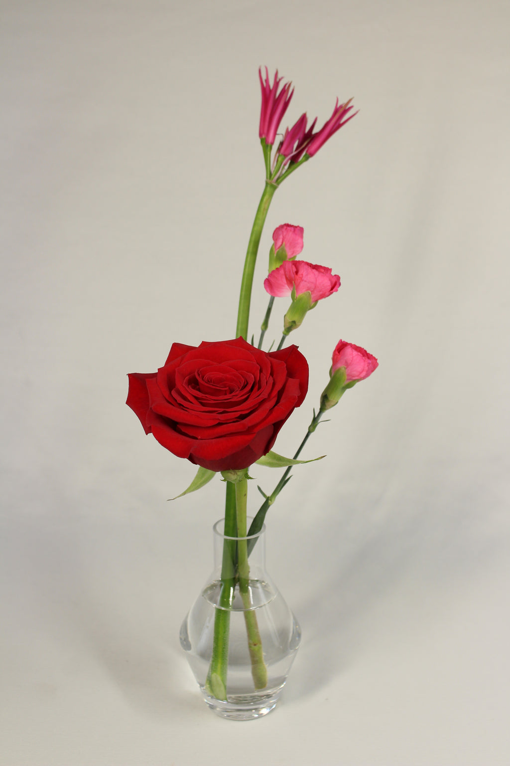 Trio de soliflores pour la Saint - Valentin - Fleuriste Abaca