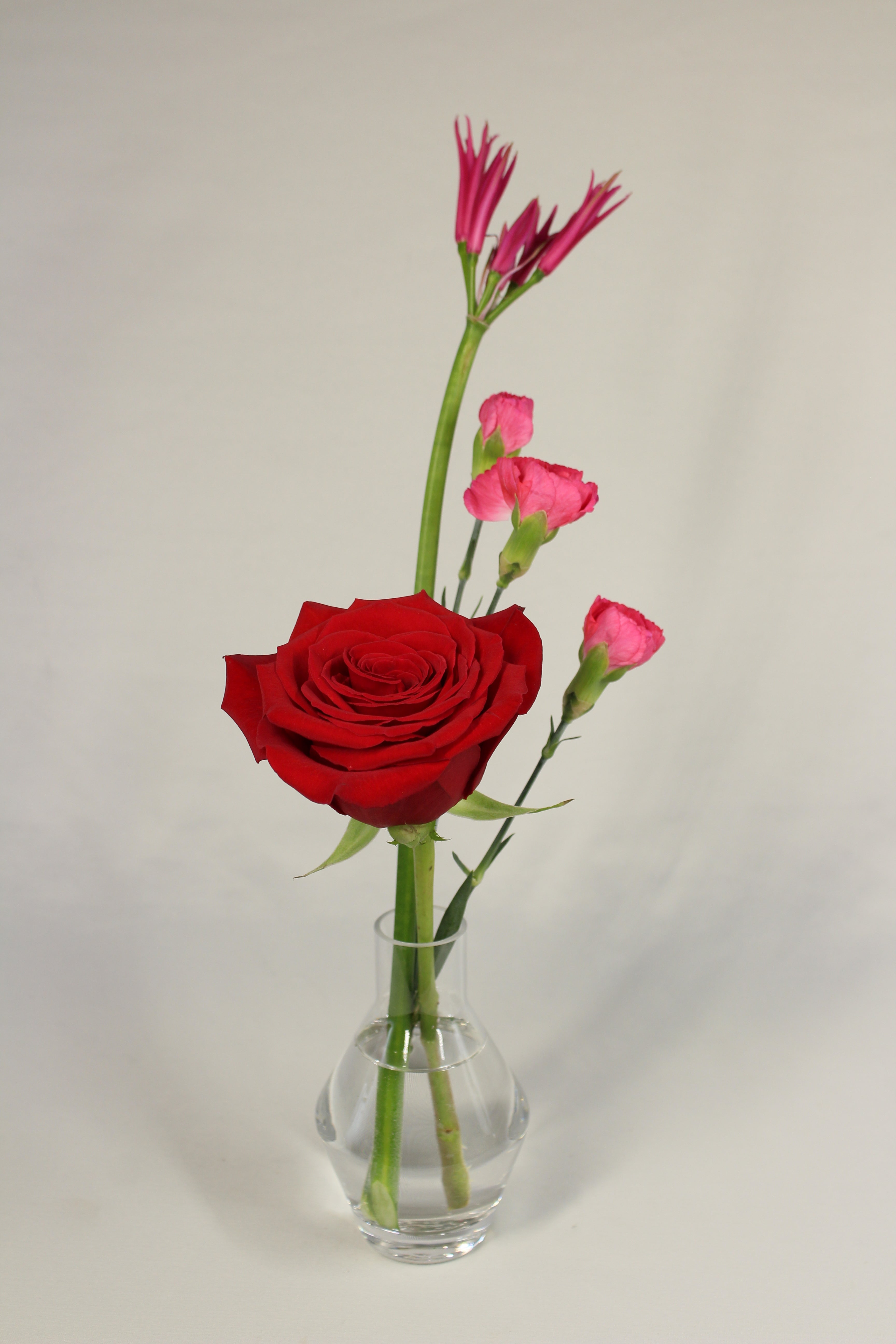 Trio de soliflores pour la Saint - Valentin - Fleuriste Abaca