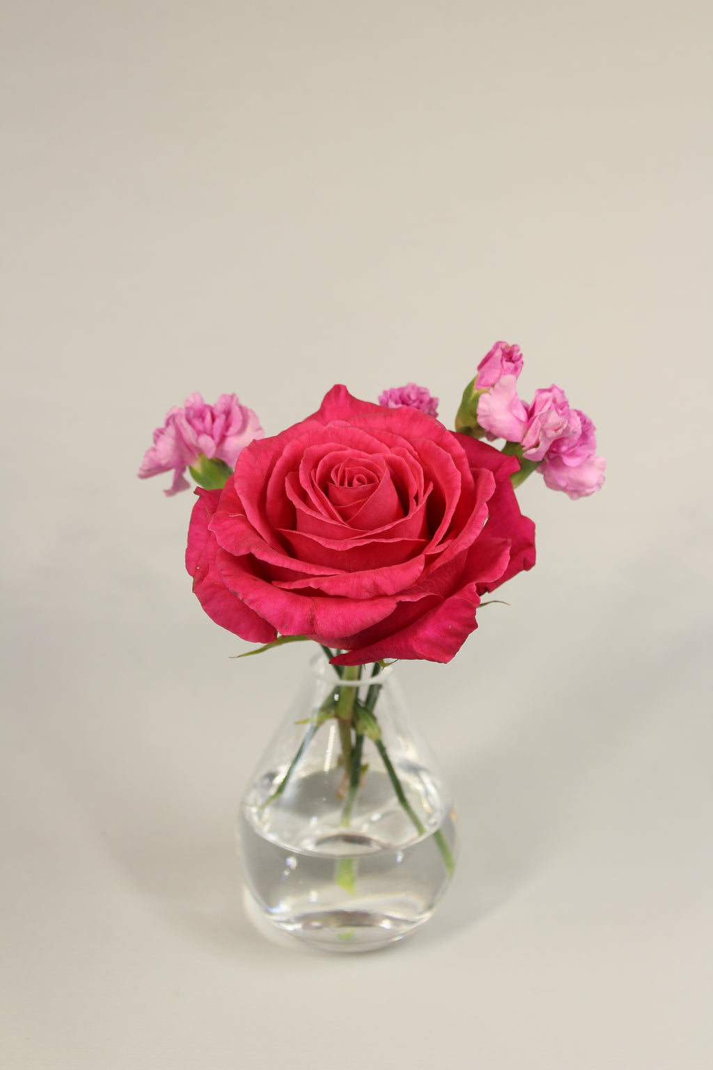 Trio de soliflores pour la Saint - Valentin - Fleuriste Abaca