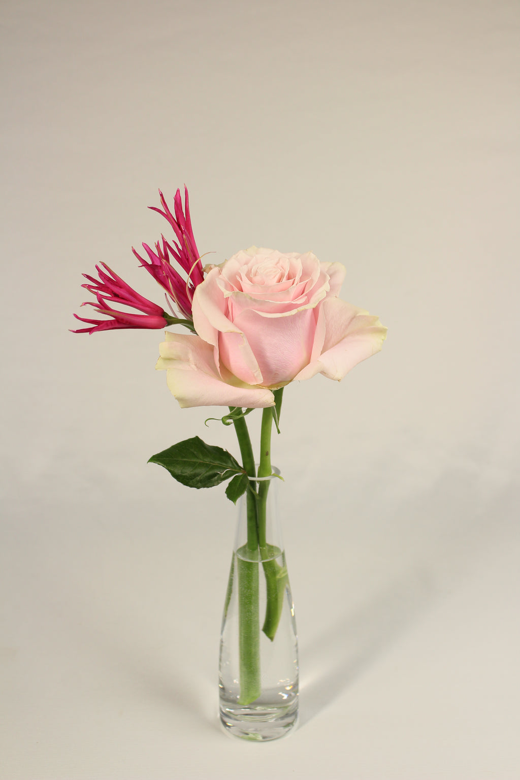 Trio de soliflores pour la Saint - Valentin - Fleuriste Abaca