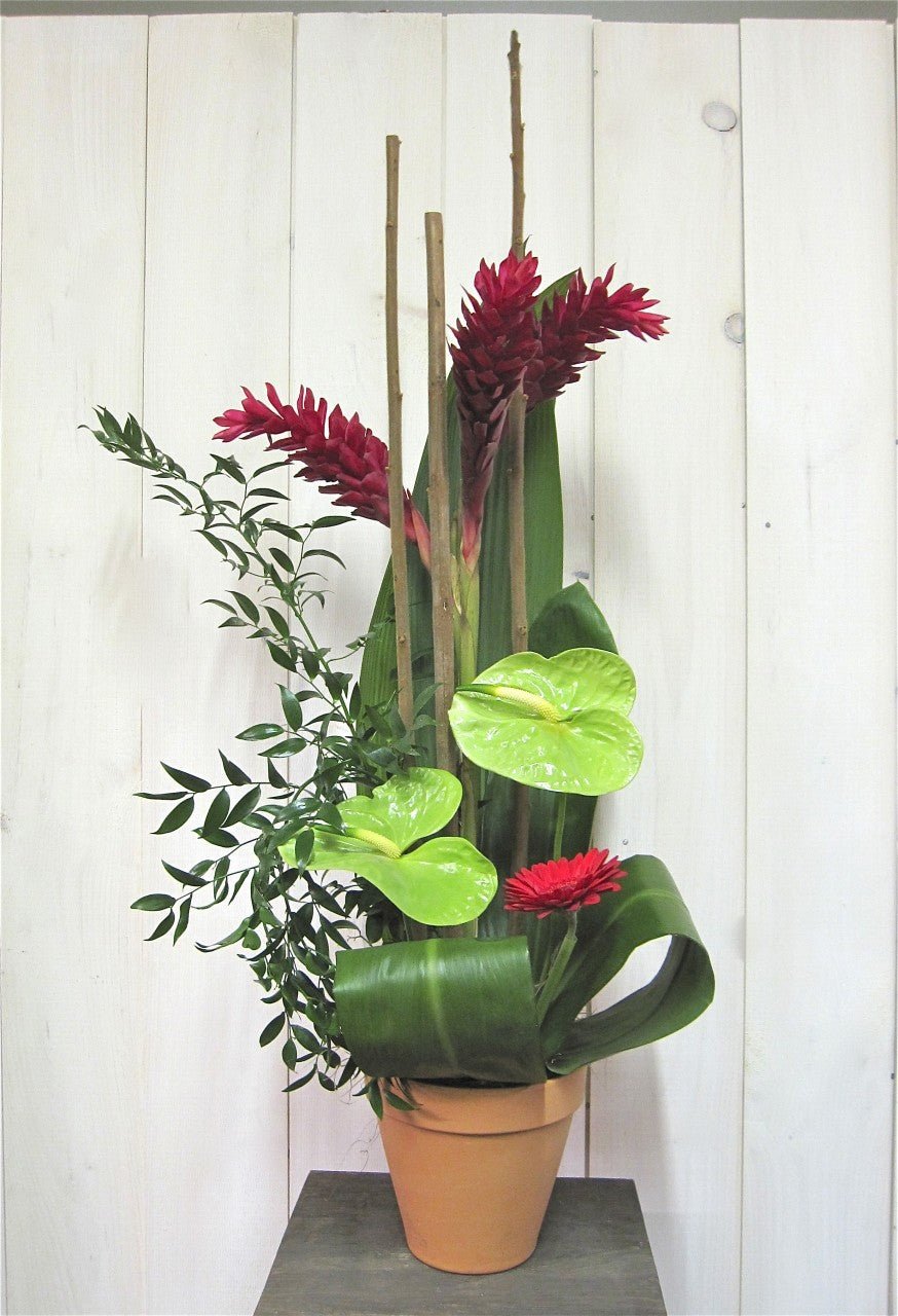 Ginger et anthurium - Fleuriste Abaca