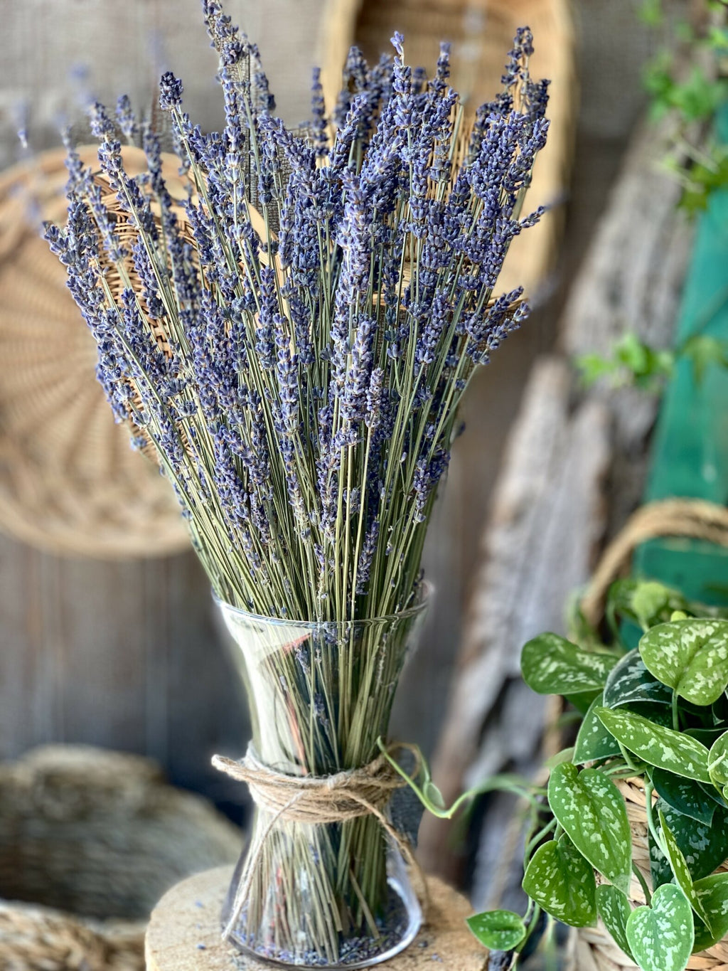 Bouquet de lavande et son vase - Fleuriste Abaca