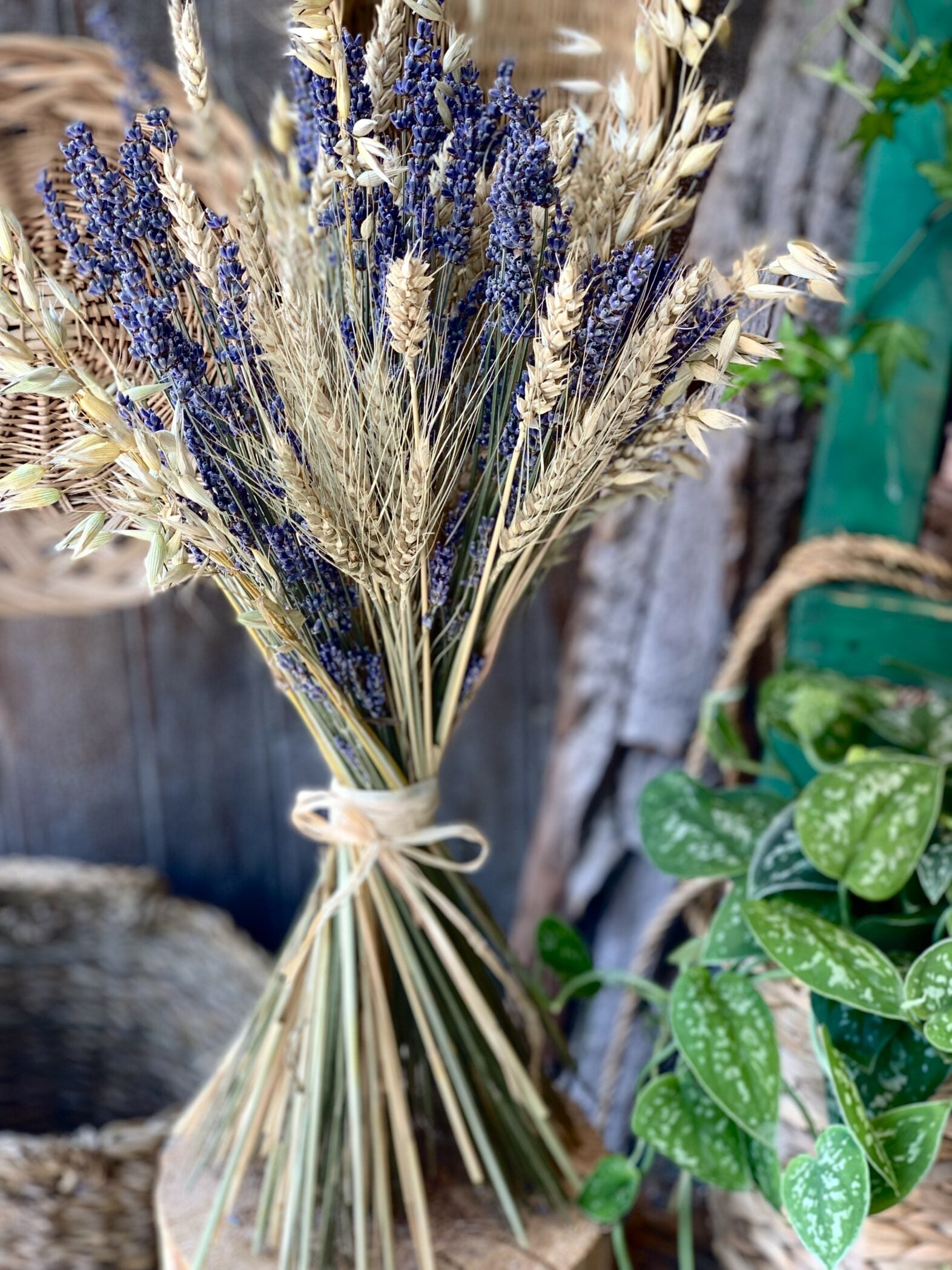 Blé et lavande - Fleuriste Abaca