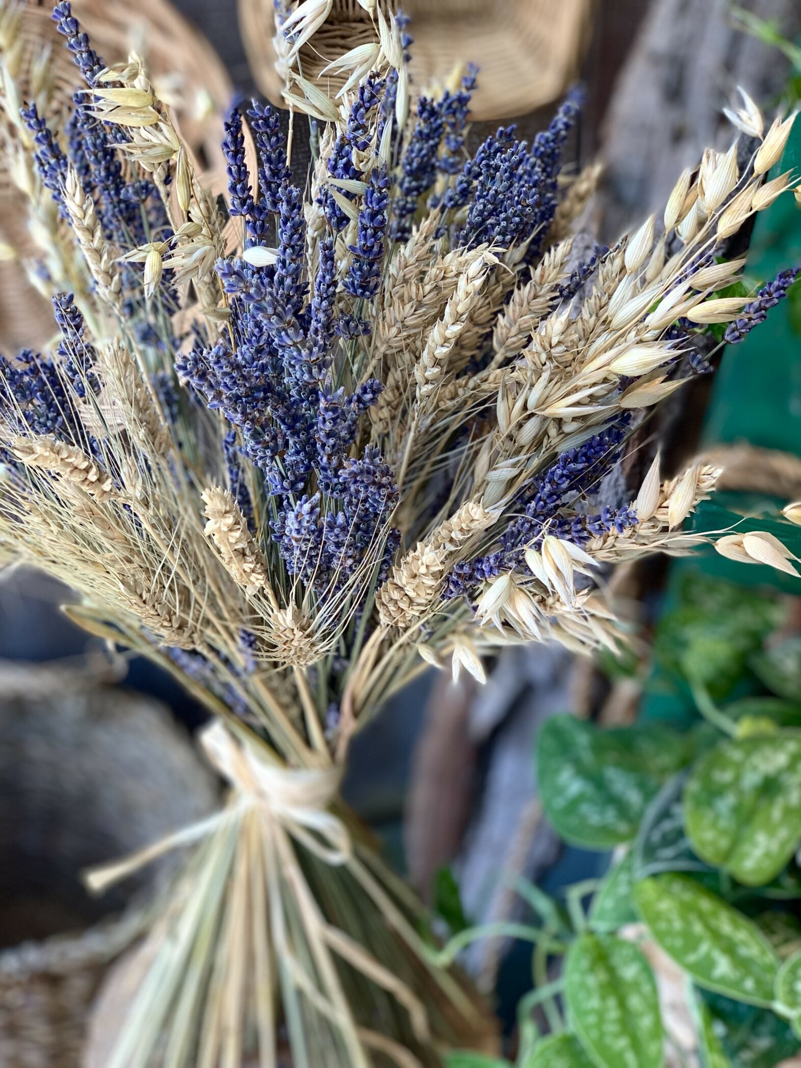 Blé et lavande - Fleuriste Abaca
