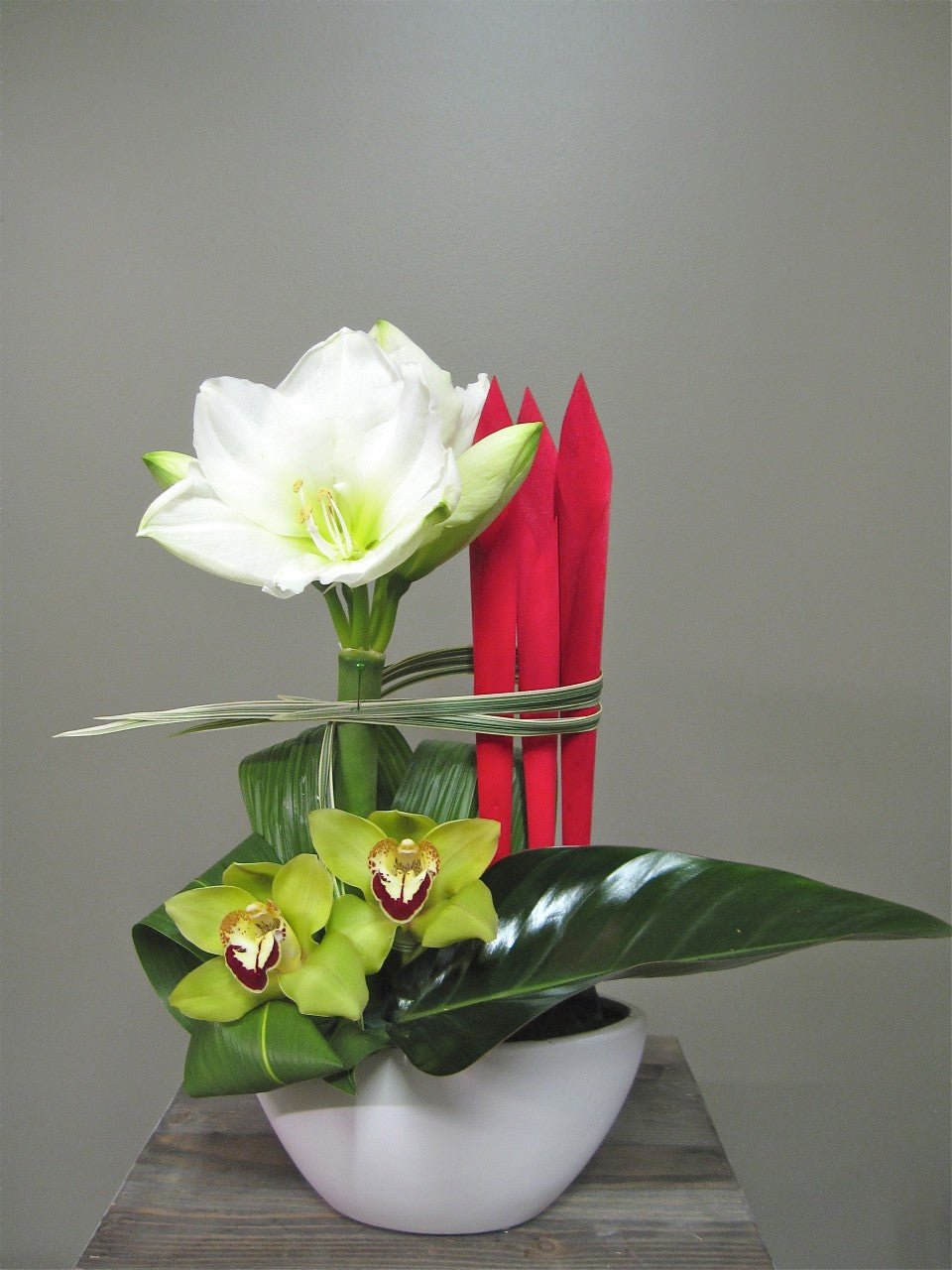Amaryllis et orchidée de Noël - Fleuriste Abaca