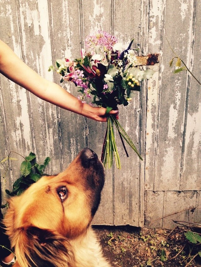 Bouquet de fleurs de Floxy - Fleuriste Abaca