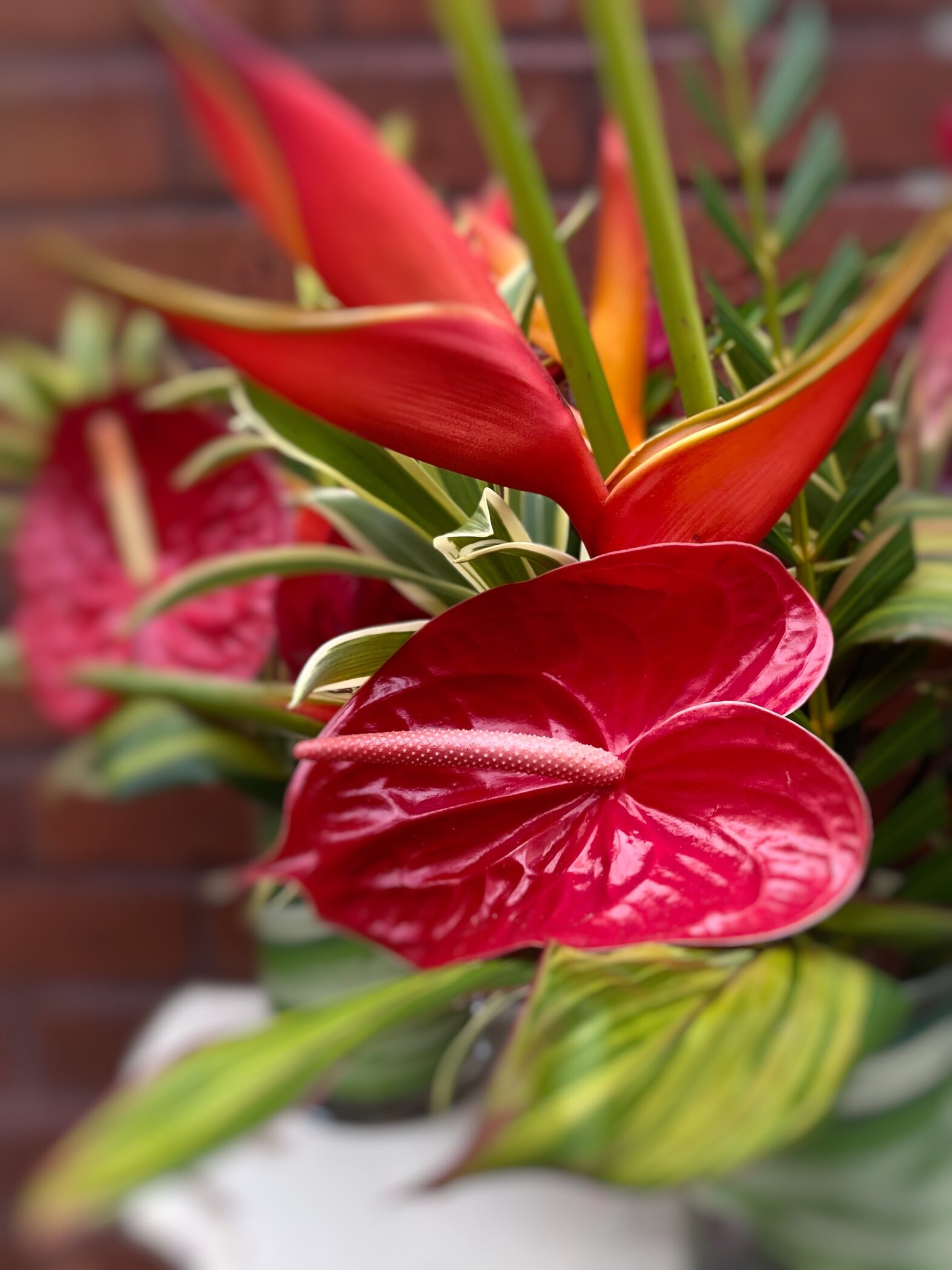 Bouquet de fleurs exotiques - Fleuriste Abaca