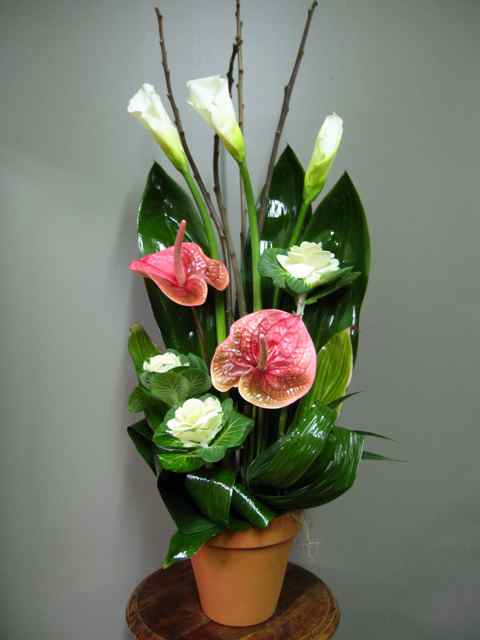 Calla et anthurium roses - Fleuriste Abaca