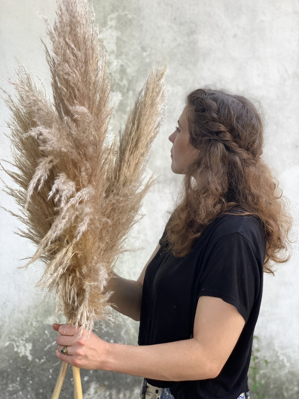 Pampas - Fleuriste Abaca