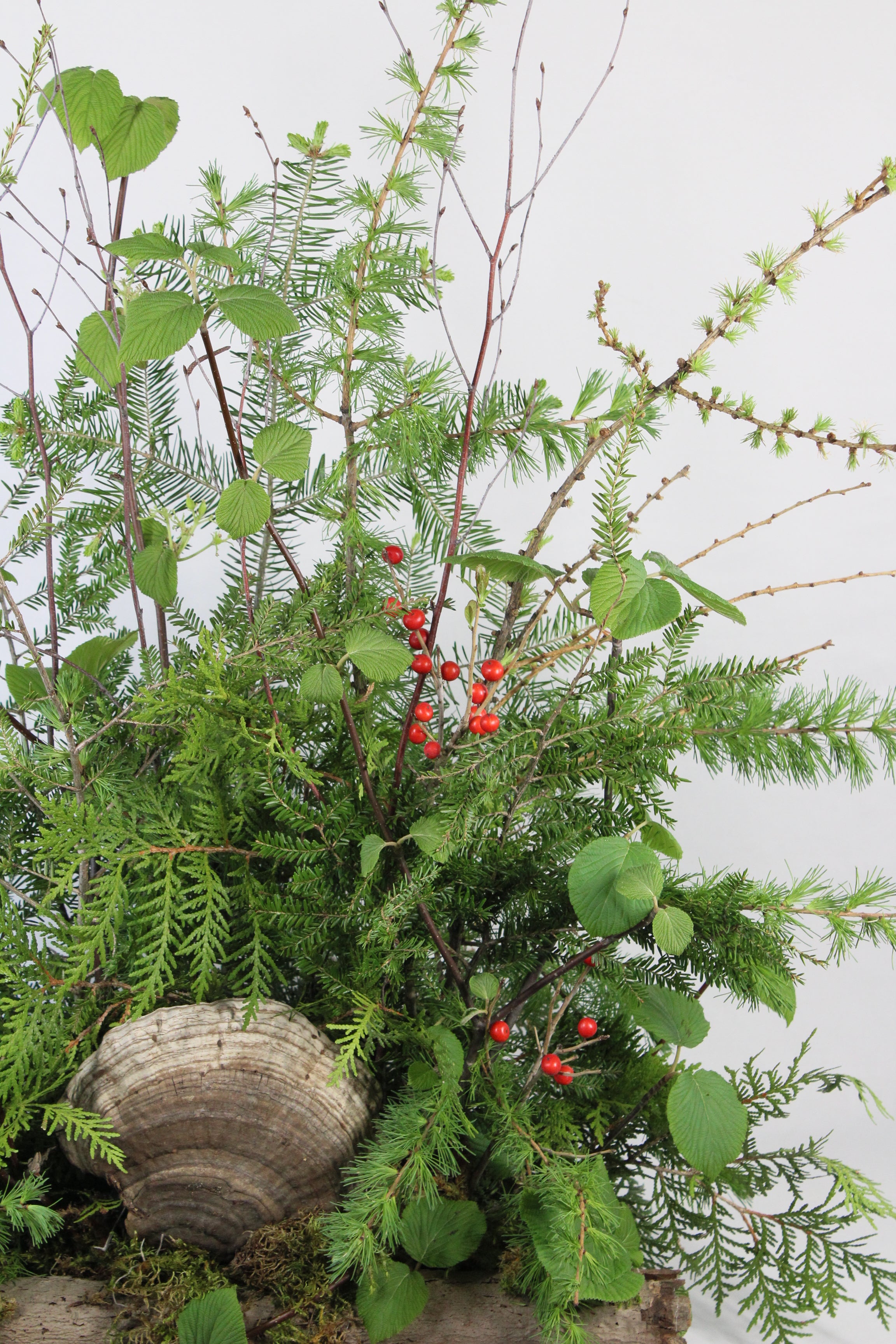 Composition funéraire Forestier - Fleuriste Abaca
